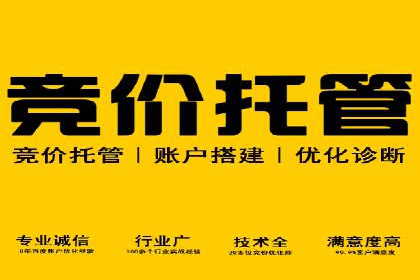 谷歌竞价广告的实时监控与调整策略——某公司经验分享